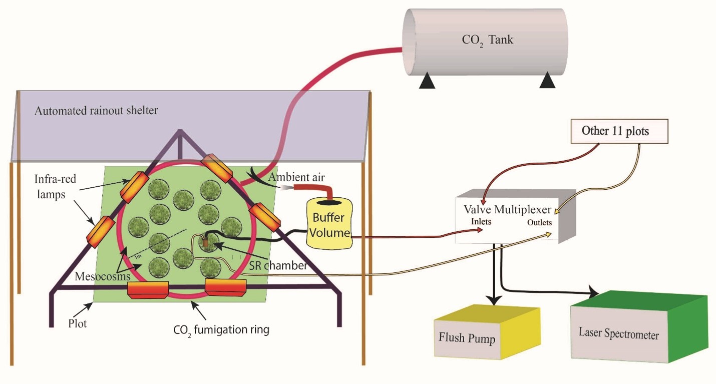 Automated soil CO2 flux system